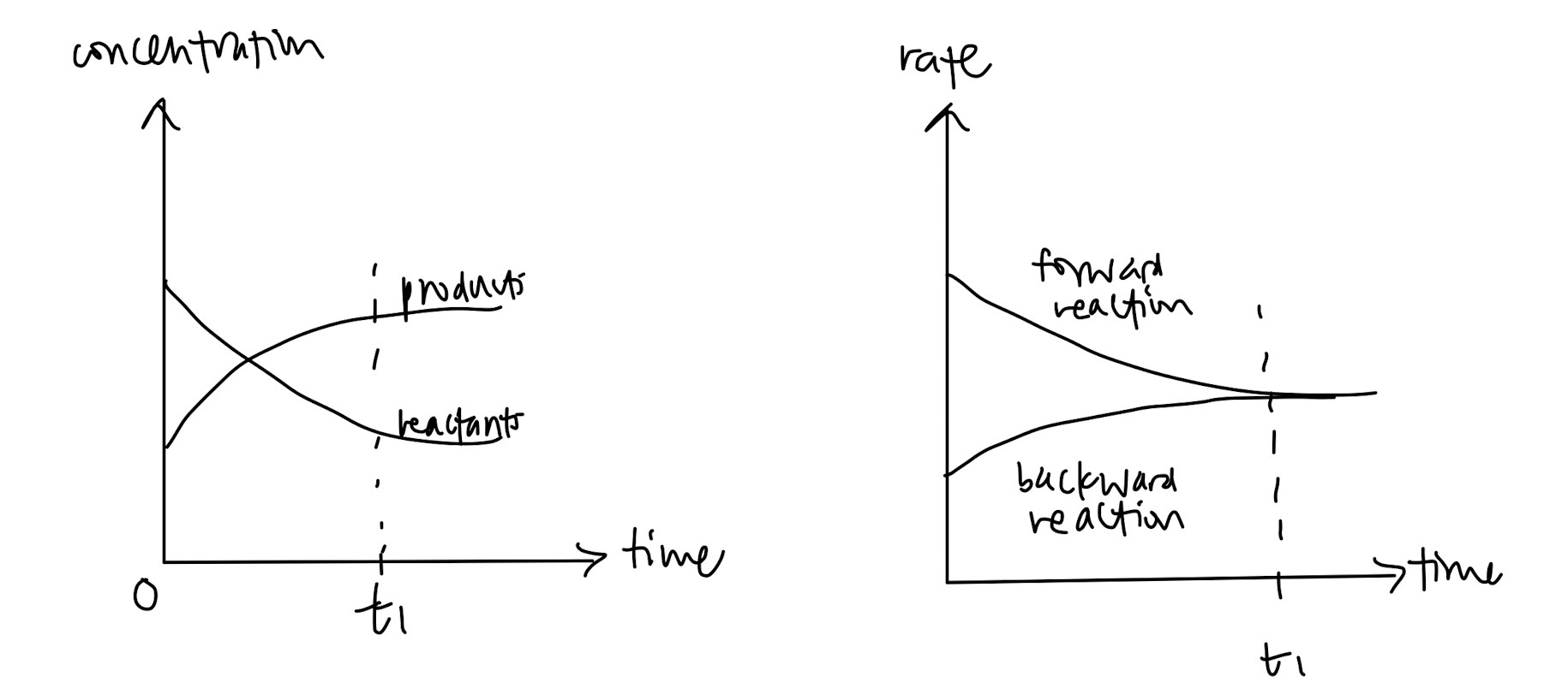concentration-time graph and rate-time graph